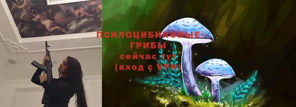 ешки Михайлов