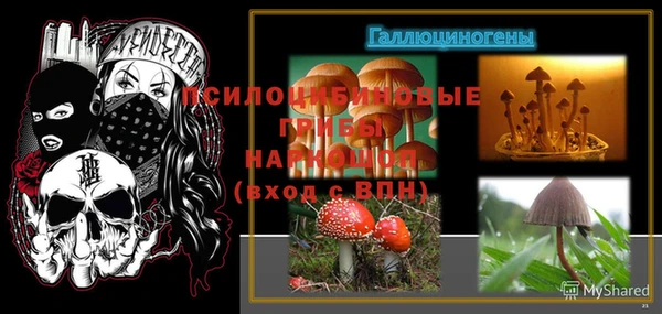прущие крисы Медногорск
