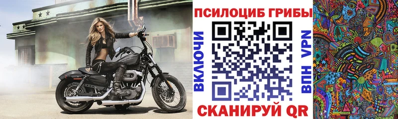 Галлюциногенные грибы ЛСД Купить где Слюдянка