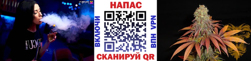 Купить где  Слюдянка  Бошки марихуана ГИДРОПОН 